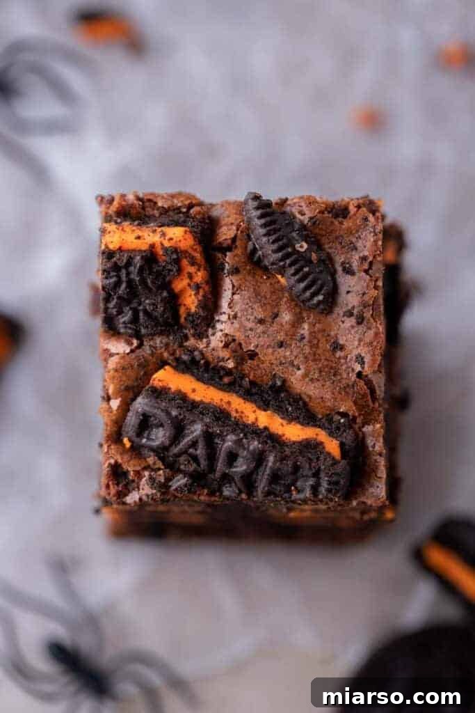 An overhead shot of a pan of baked Halloween Oreo brownies, showcasing the vibrant orange of the Oreos on the rich dark chocolate.