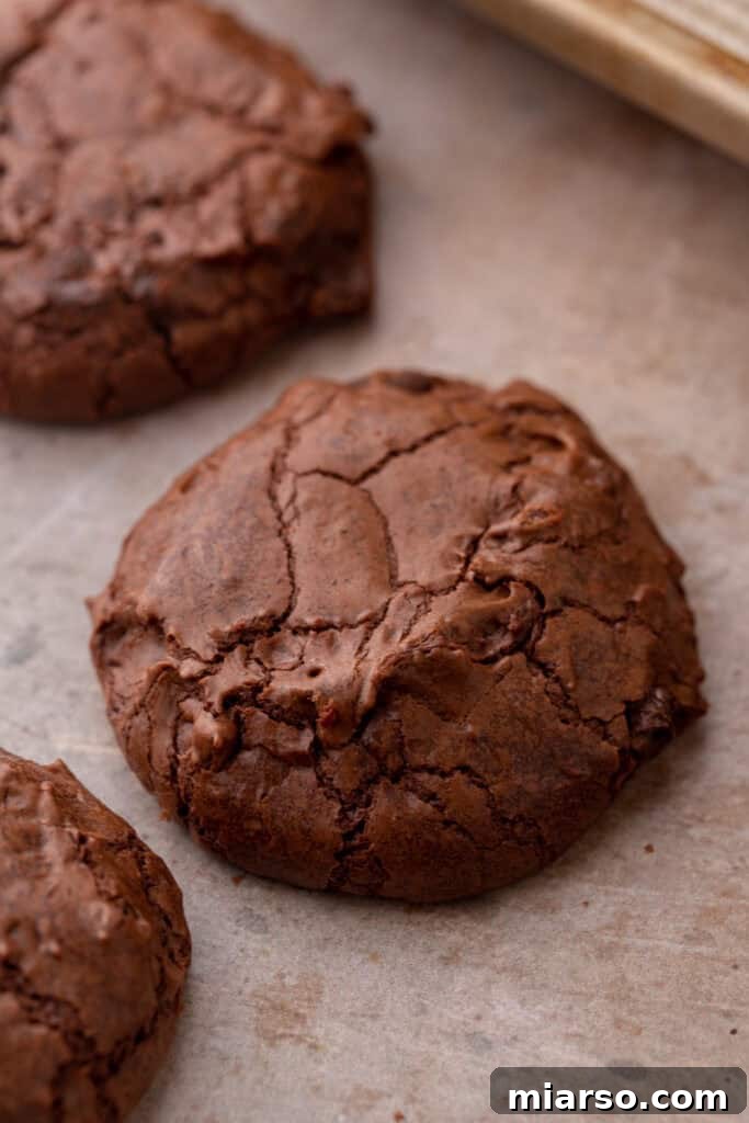 Small Batch Brownie Cookies