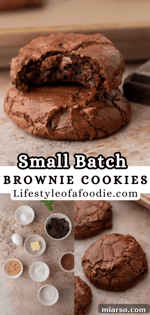 Small batch brownie cookies
