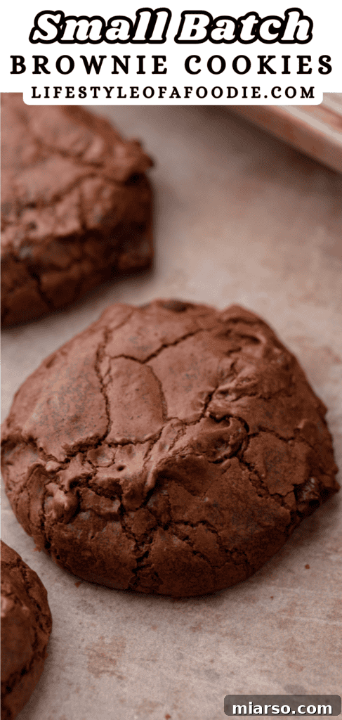 Small batch brownie cookies