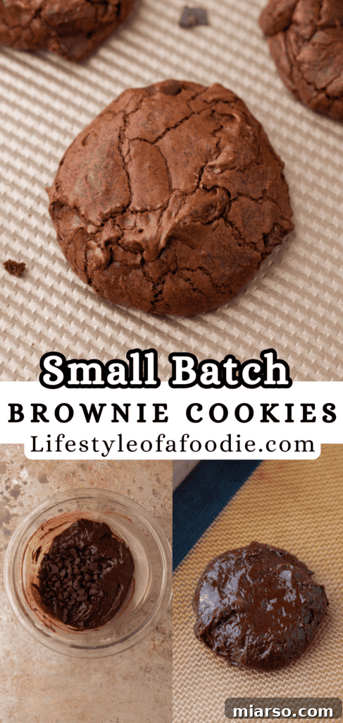 Small batch brownie cookies