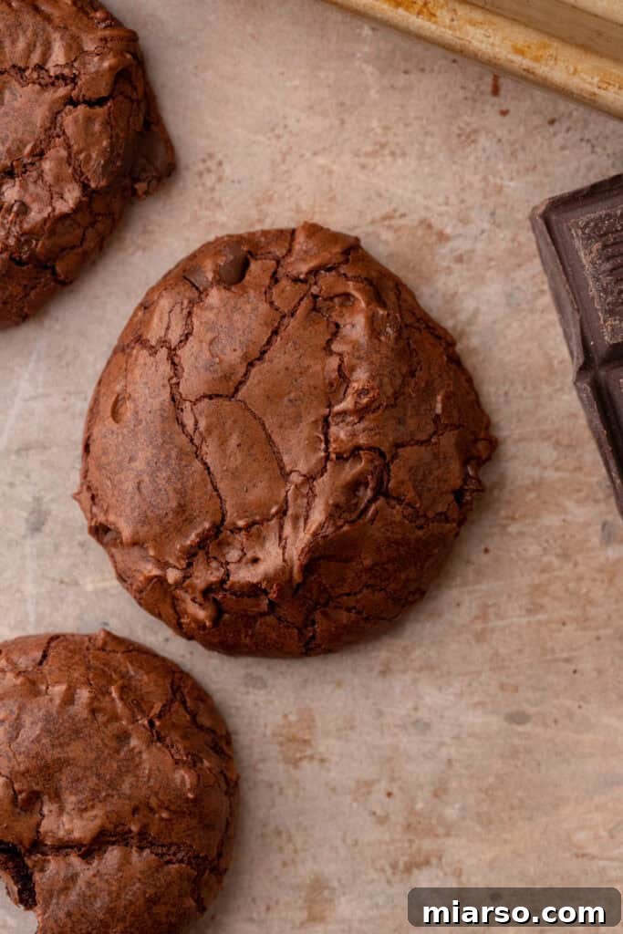 Small batch brownie cookie on the counter