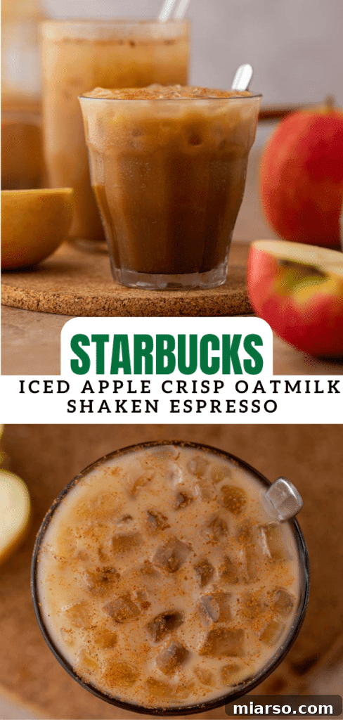 Starbucks Iced Apple Crisp Oatmilk Shaken Espresso Recipe Card