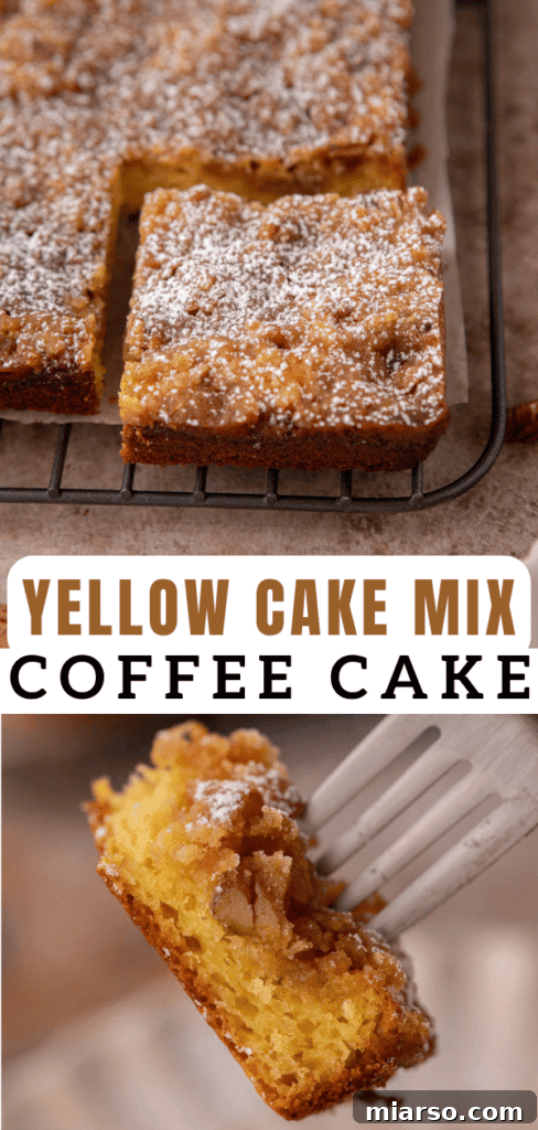 Another Pinterest-optimized image for the easy cake mix coffee cake recipe