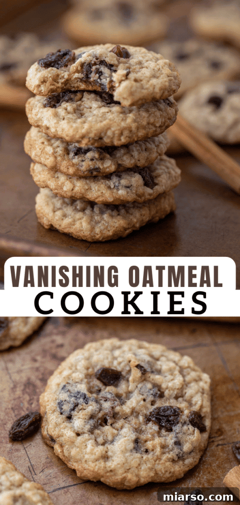 Close-up of baked Quaker oatmeal cookies with a soft blur in the background