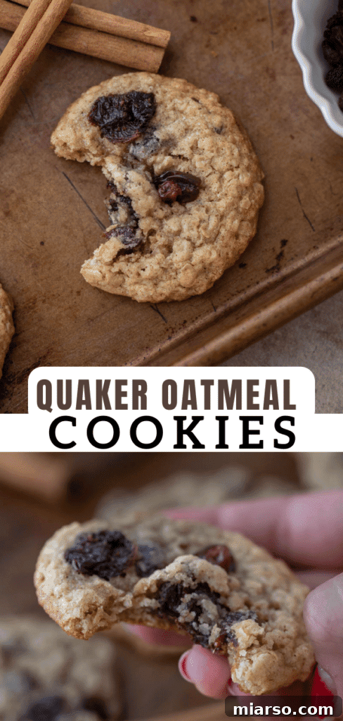 Delicious original Quaker oatmeal cookies artfully arranged