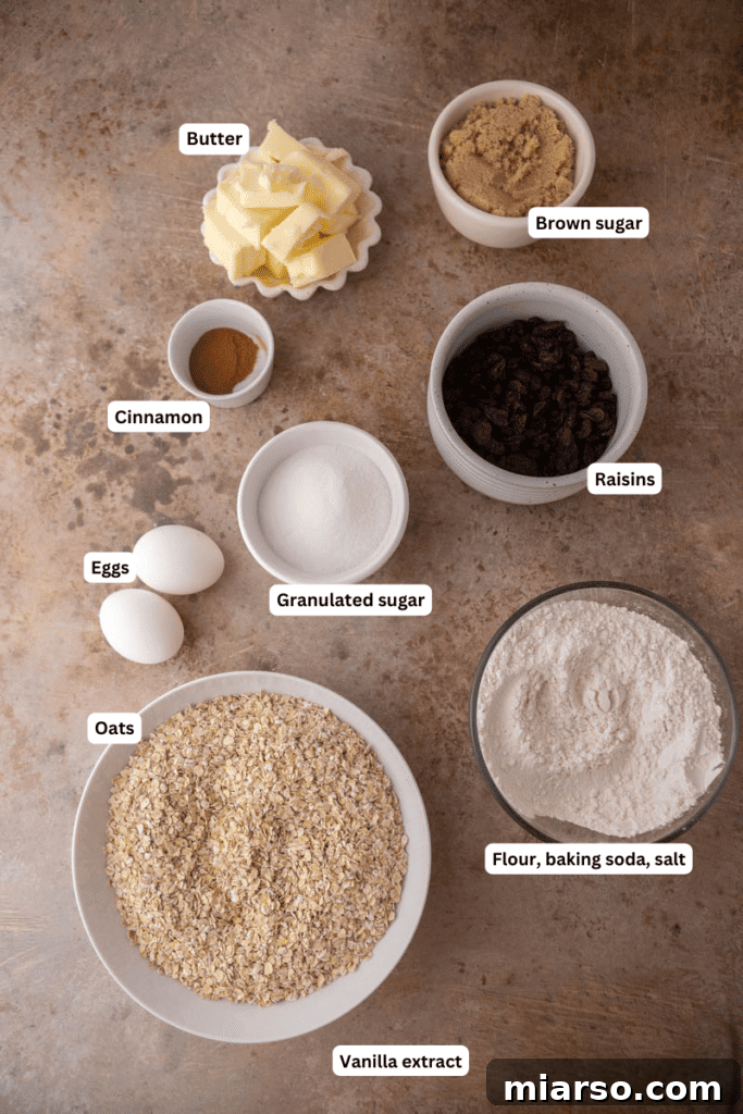 Fresh ingredients laid out on a counter for baking oatmeal cookies
