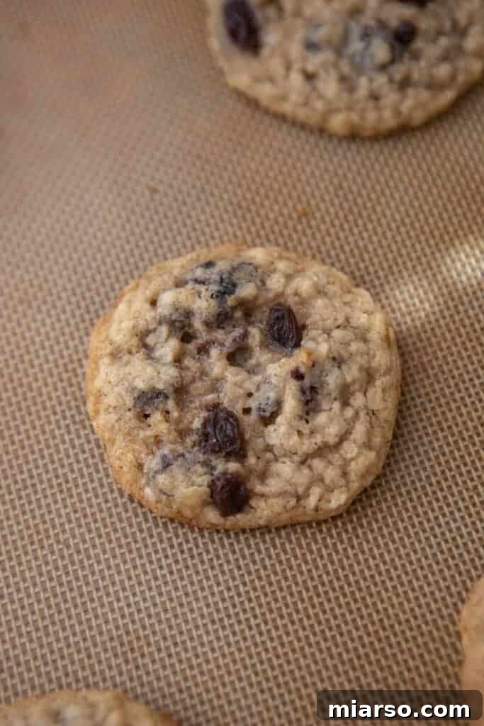 Freshly baked original Quaker oatmeal cookies