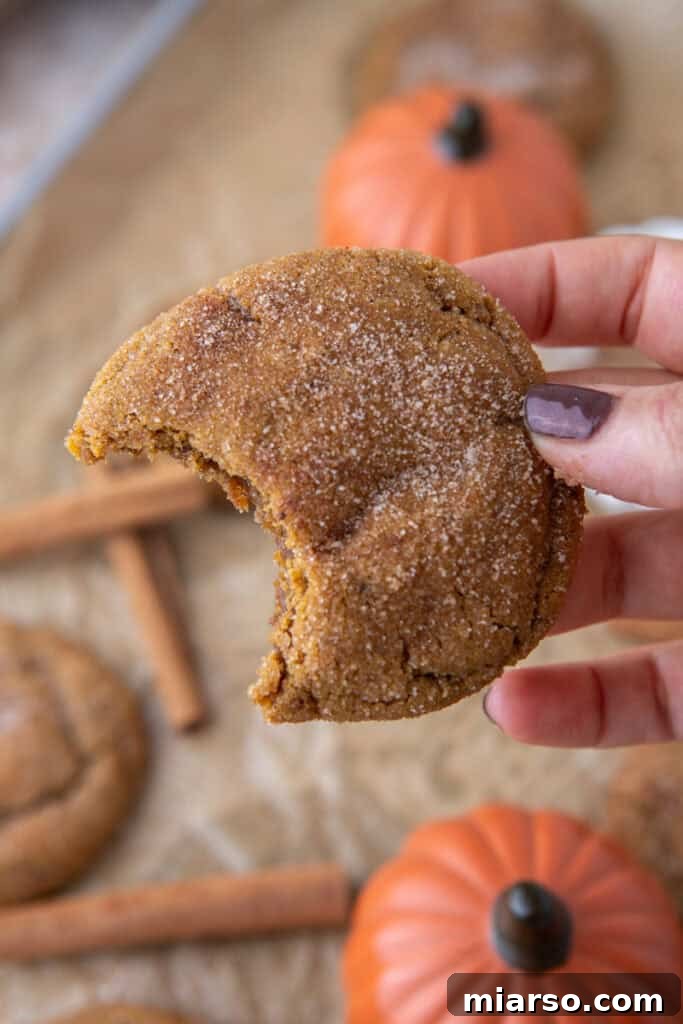 A hand holding a perfectly baked Brown Butter Pumpkin Snickerdoodle Cookie