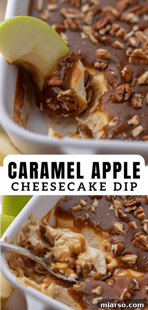 Overhead shot of creamy caramel apple cheesecake dip with sliced apples for dipping.