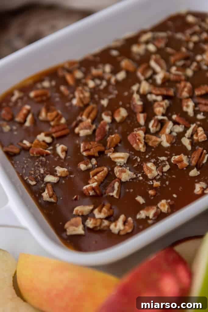 The finished caramel apple dip recipe, garnished with toppings and ready to serve.