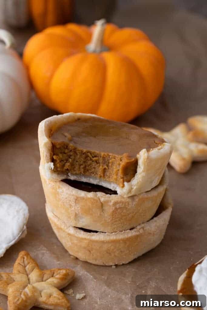 Bite-Sized Pumpkin Delights in a Muffin Tin 2 A mini pumpkin pie with no whipped cream topping, showcasing its golden crust and smooth filling.