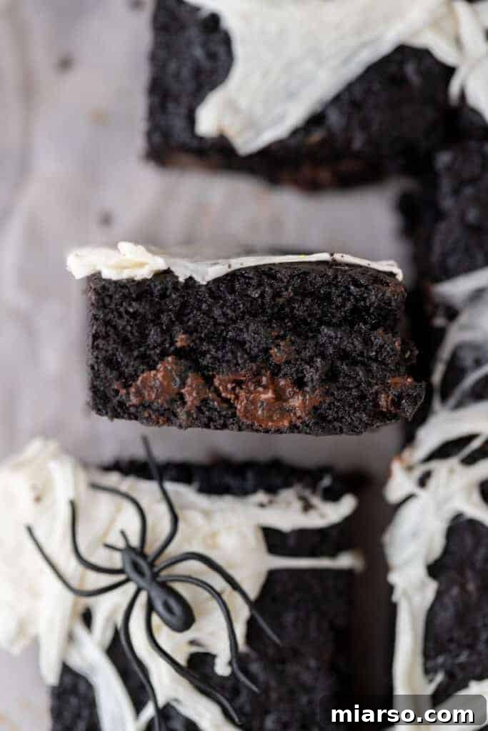 Overhead shot of fudgy black cocoa powder brownies