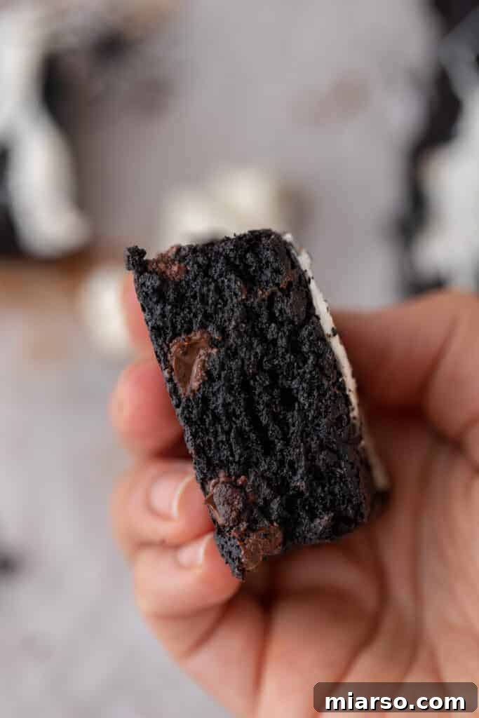 hand holding black cocoa powder brownie