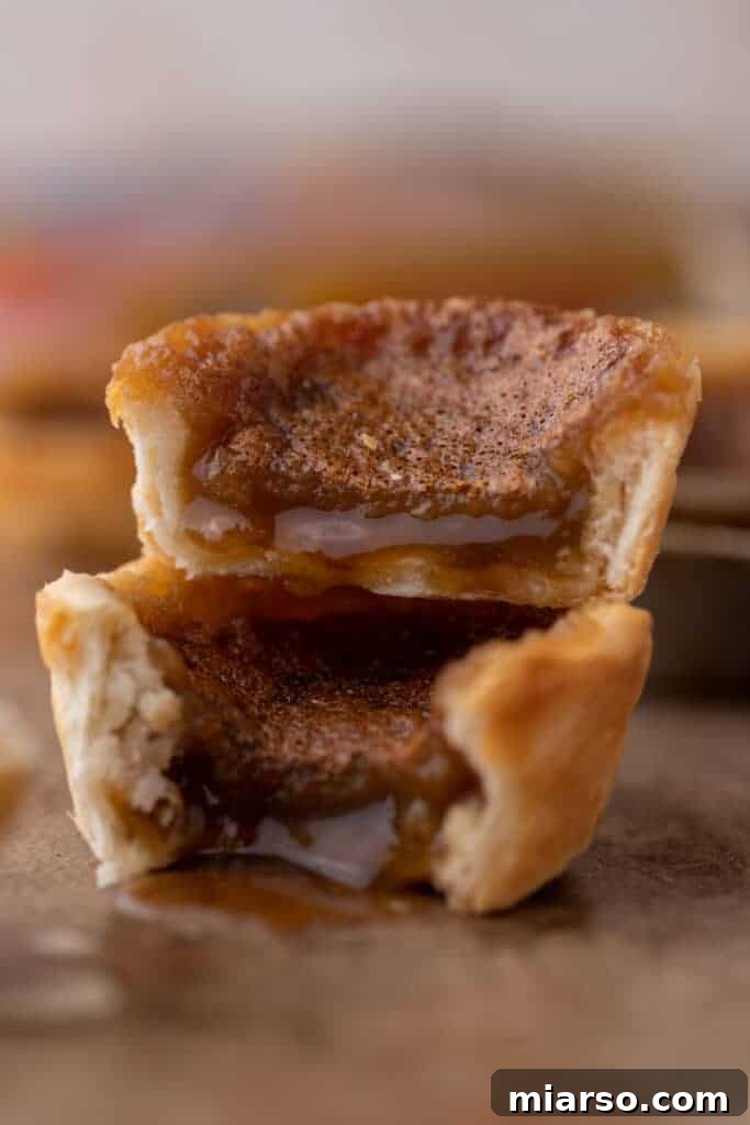 Close-up of golden Canadian butter tarts fresh from the oven, showcasing their gooey filling and flaky crust
