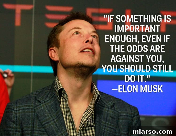 Marinara's Effortless Secret for Unbeatable Flavor 2 If something is important enough, even if the odds are against you, you should still do it -Elon Musk