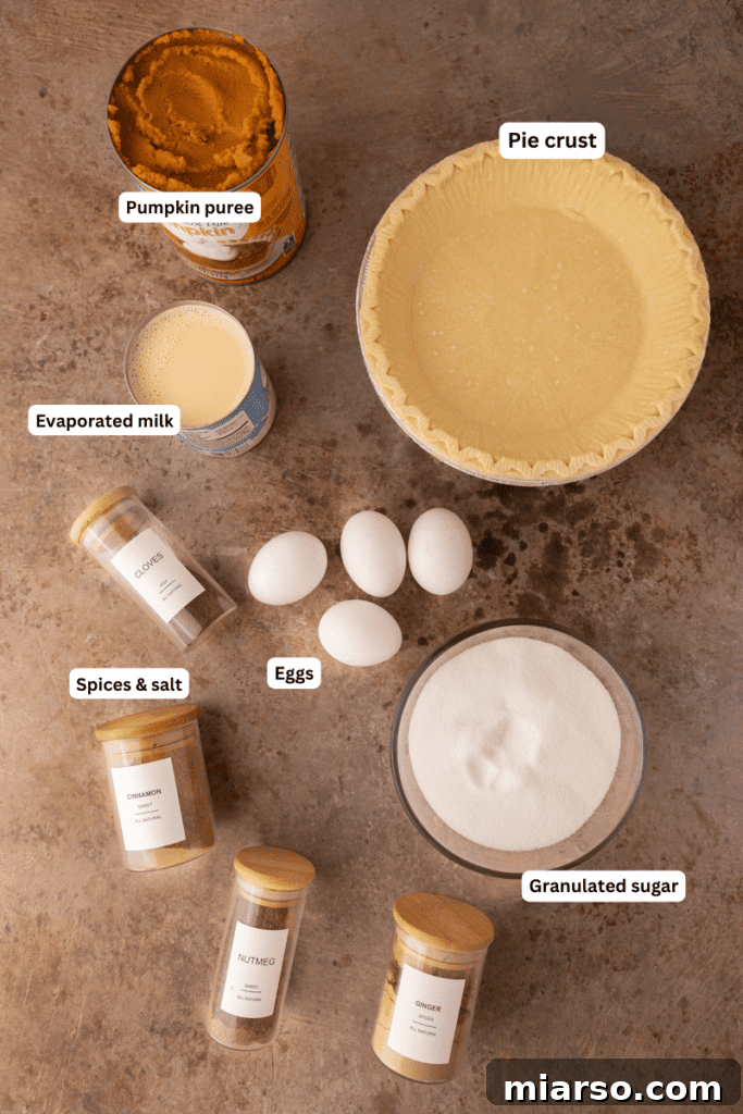 Double the Delight: The Ultimate 9-Inch Pumpkin Pie Recipe 3 A rustic bowl filled with fresh pumpkin puree, surrounded by an assortment of aromatic spices like cinnamon sticks, nutmeg, and ginger, ready for baking.