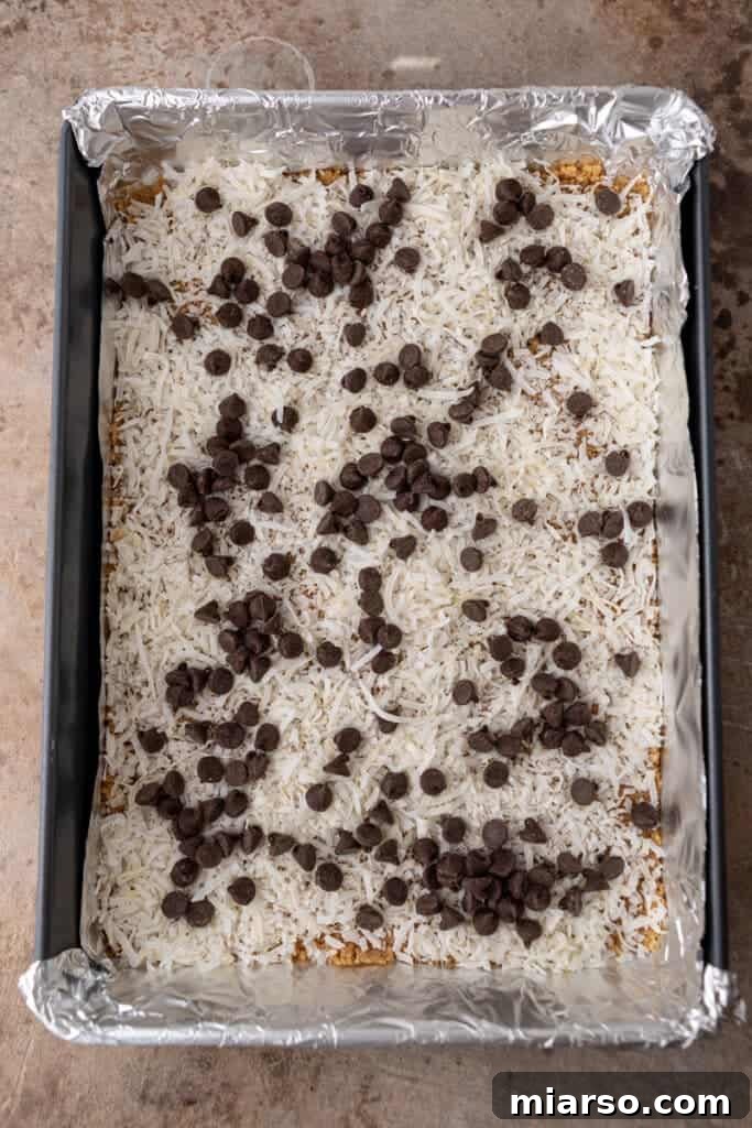 Coconut flakes and chocolate chips sprinkled on top of the graham cracker crust