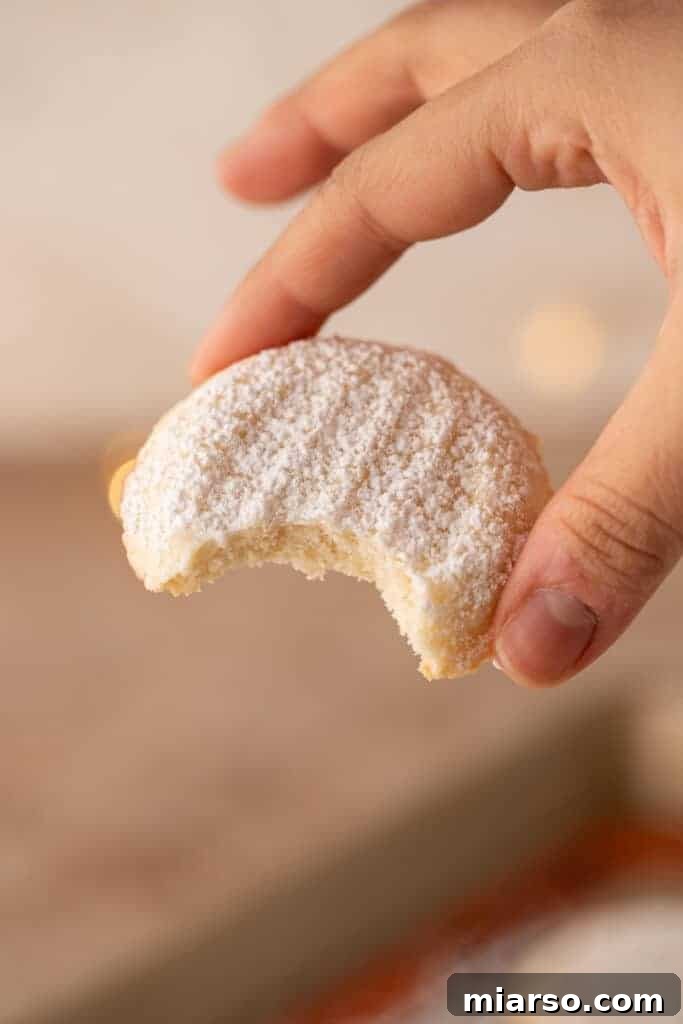 close up of a single cookie with a bite taken out being held up by a hand