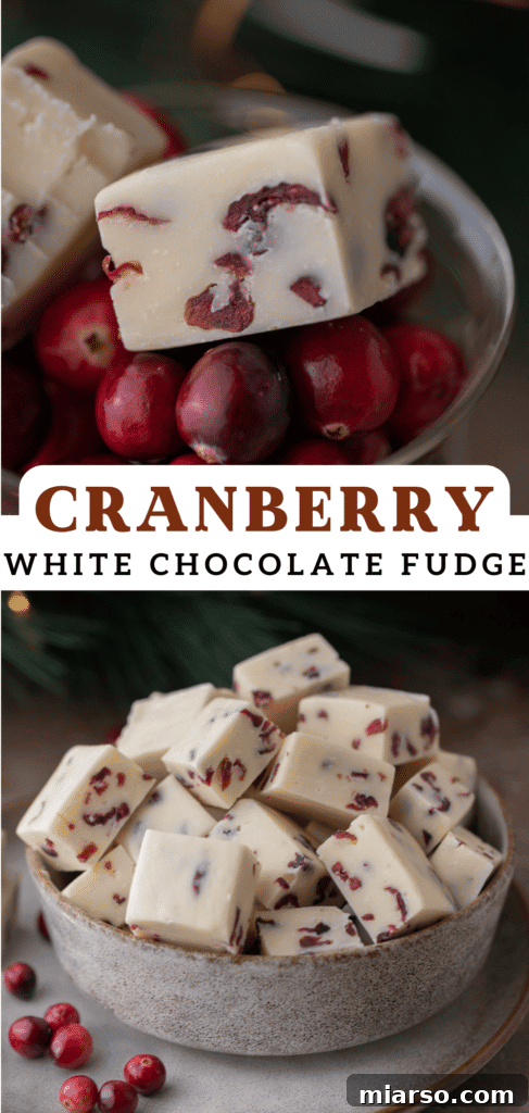 Pinterest pin for the easy Cranberry White Chocolate Fudge recipe.