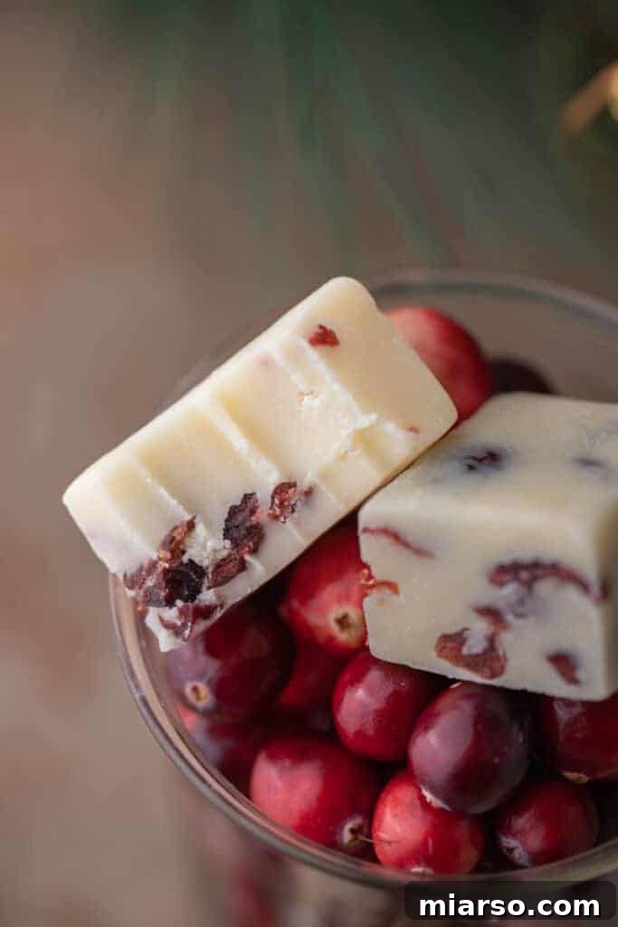 White chocolate cranberry fudge squares arranged beautifully on a bowl of fresh cranberries.