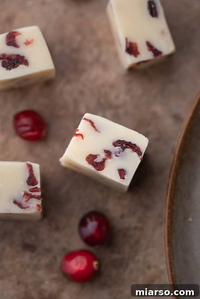 A close-up view of perfectly cut squares of Cranberry White Chocolate Fudge.