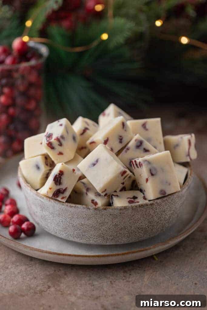 A beautiful bowl filled with Cranberry White Chocolate Fudge squares, ready to be served.
