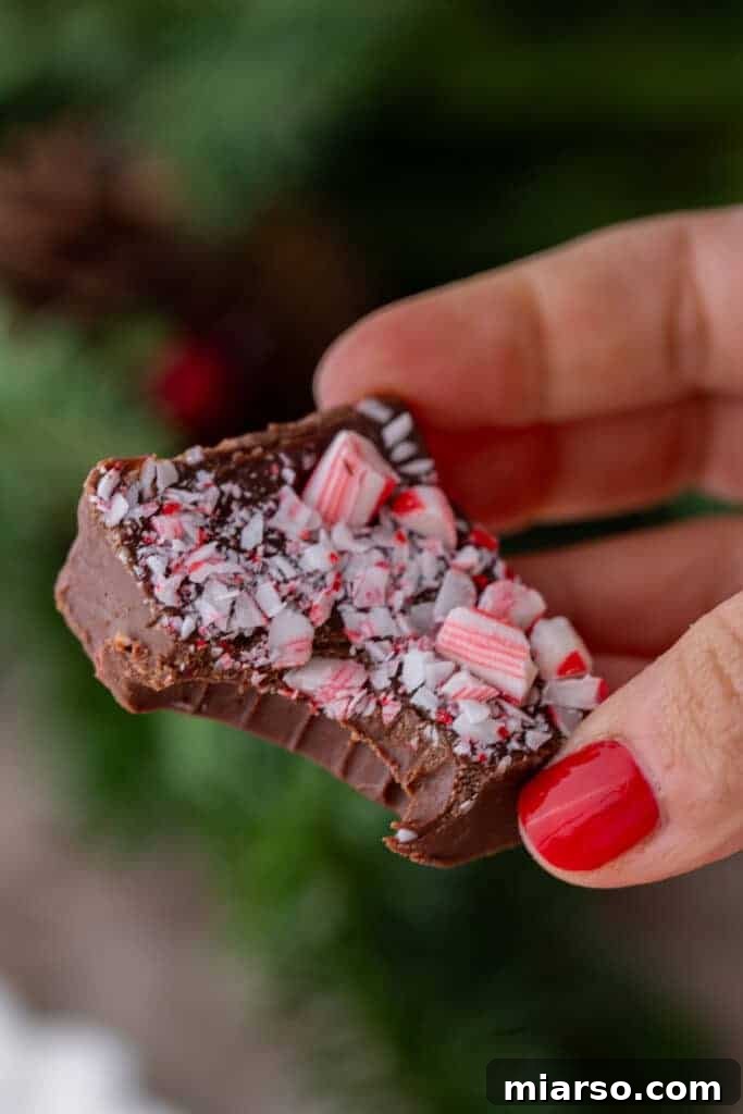 A square of delicious peppermint fudge with a bite taken out, held by a hand, showcasing its festive layers.