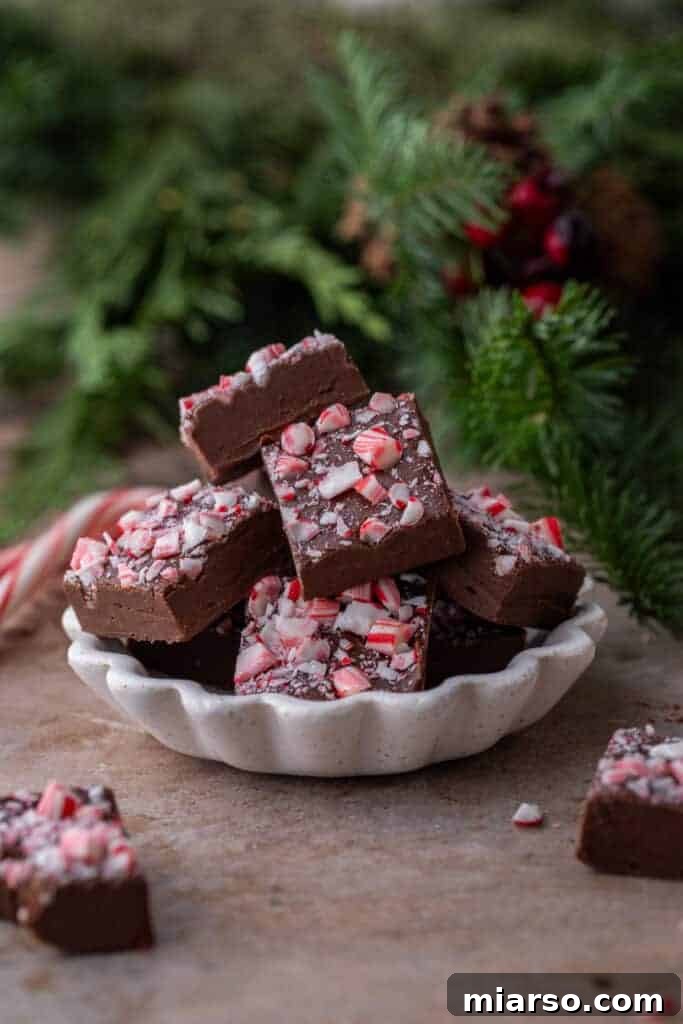 A bowl filled with rich chocolate peppermint fudge, adorned with crushed candy canes, ready to be enjoyed.