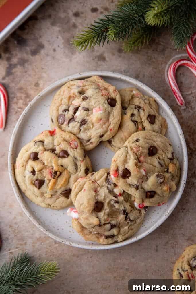A beautifully arranged plate brimming with freshly baked peppermint chocolate chip cookies, ready for the holidays.