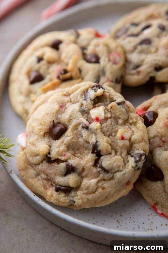 A vibrant close-up of a peppermint chocolate chip cookie, perfectly baked with melty chocolate and visible candy cane pieces, on a plate with others blurred in the background.