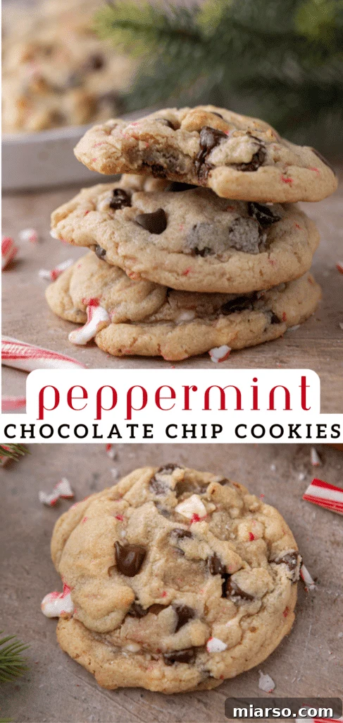 A Pinterest-optimized vertical image featuring the delicious peppermint chocolate chip cookies, perfect for holiday baking inspiration.