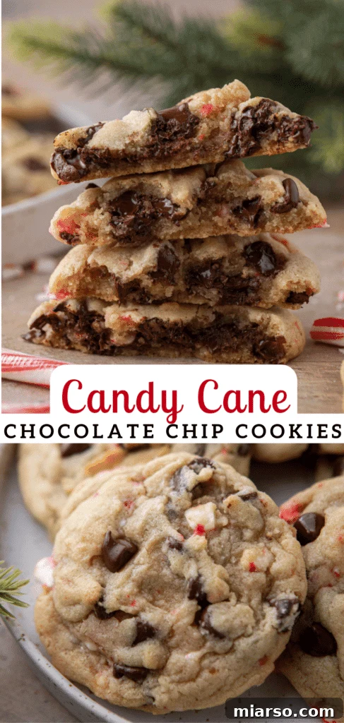 Another beautiful Pinterest pin showcasing the irresistible peppermint chocolate chip cookies, ideal for holiday dessert planning.