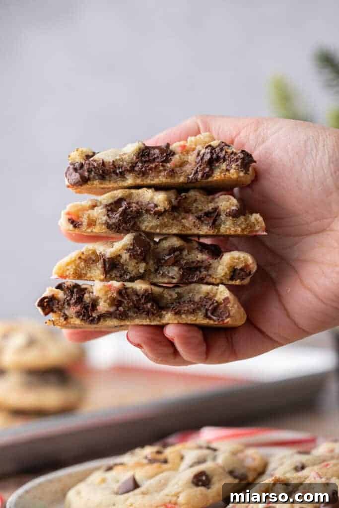 A hand gracefully holding up several warm, freshly baked peppermint chocolate chip cookies, showcasing their inviting texture.
