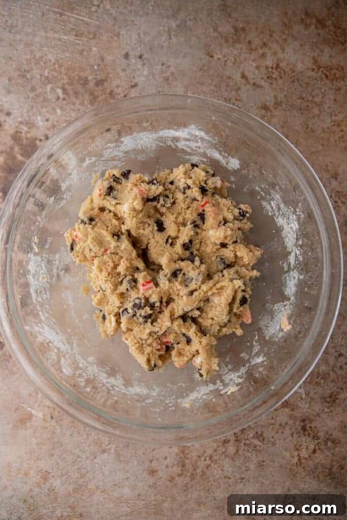 Wet and dry ingredients expertly combined into a smooth, cohesive cookie dough in a mixing bowl.