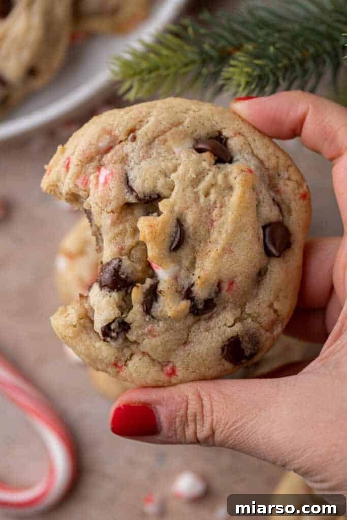 A close-up of a hand holding a peppermint chocolate chip cookie with a single bite taken out, revealing its soft, chewy interior.