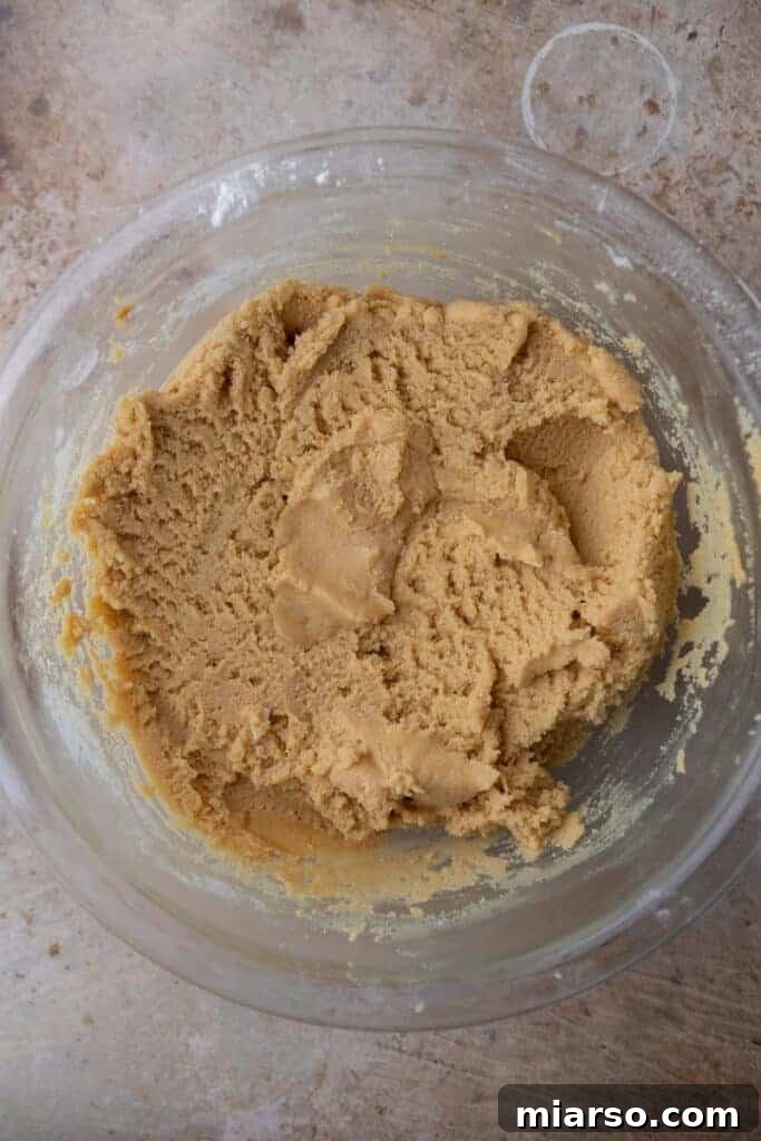 Fully mixed and creamy ingredients for the peanut butter cookie dough in a bowl, ready for baking.