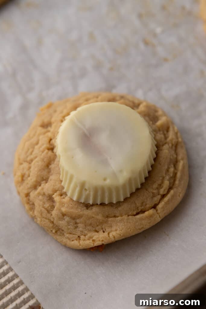 A white chocolate peanut butter cup carefully placed upside down on top of a freshly baked peanut butter cookie.