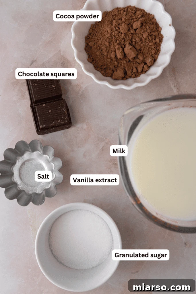 Ingredients for a single serve hot chocolate recipe, including milk, chocolate, and cocoa powder, neatly arranged on a kitchen counter.