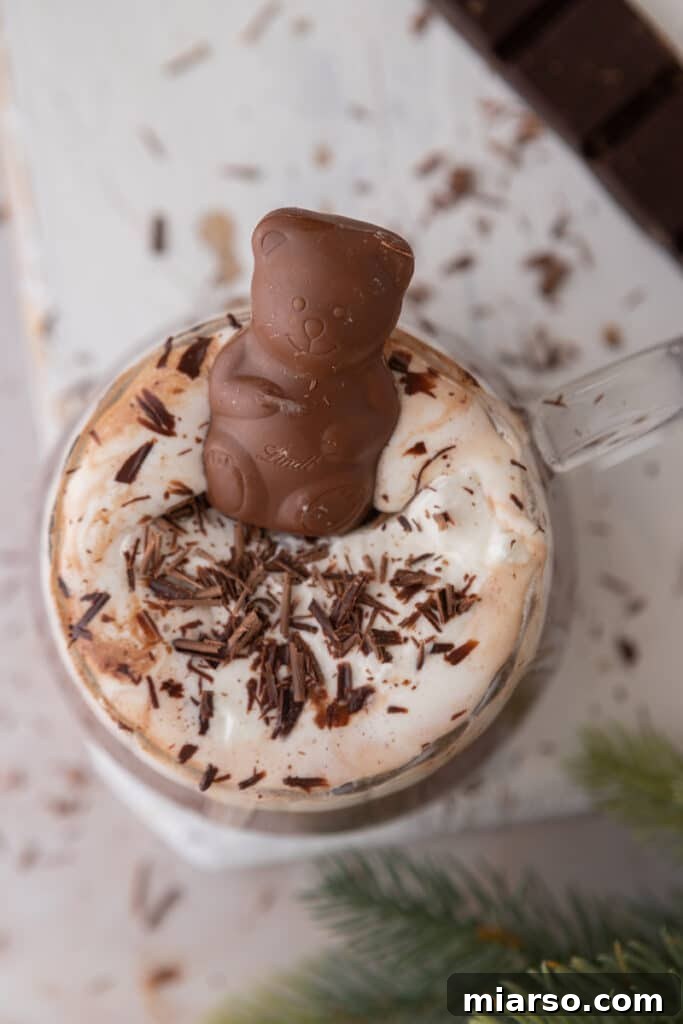Overhead shot of a single serving of hot cocoa in a rustic mug with a spoon, showing a rich, dark color.