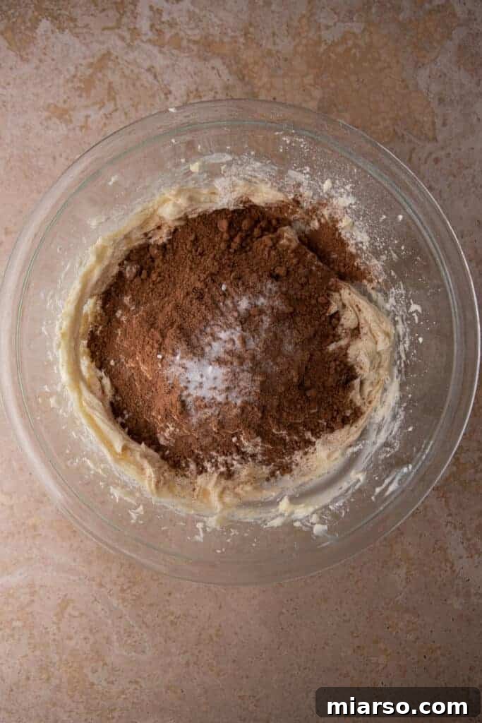 Cocoa powder, flour, and salt added on top of the creamed mixture.