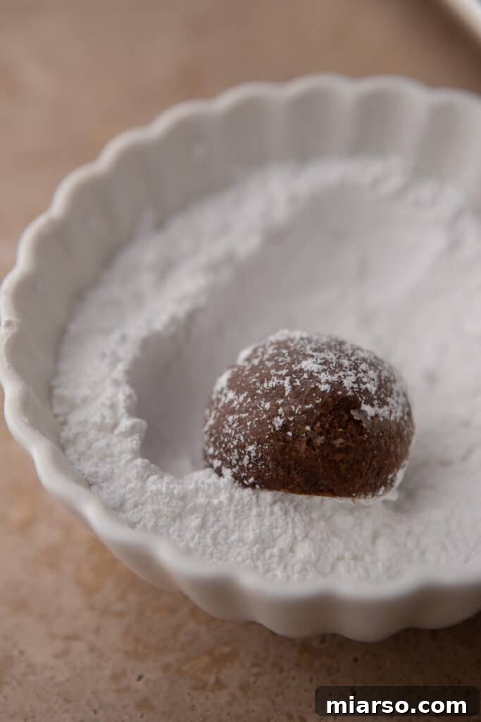 Chocolate dough ball coated lightly in powdered sugar.