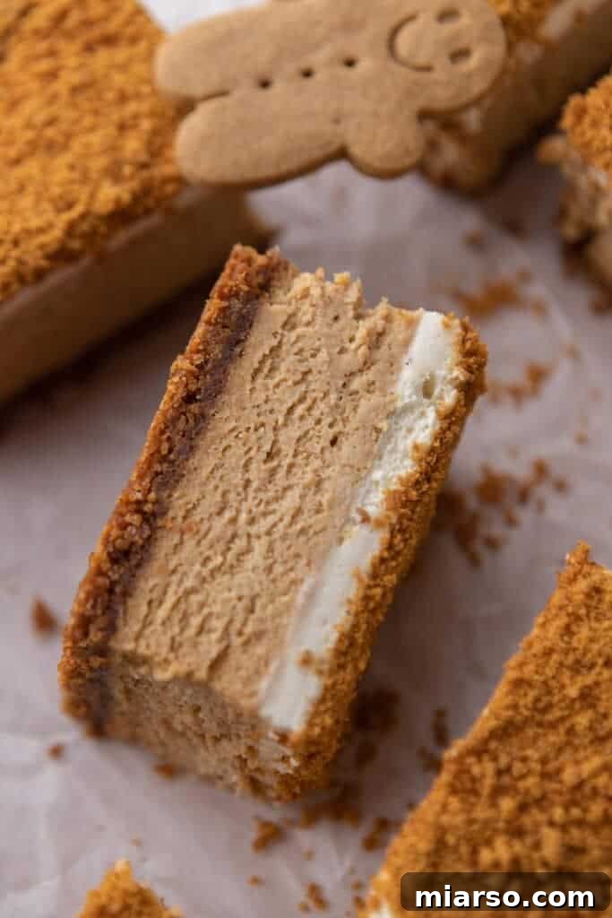 Close-up shot of a gingerbread cheesecake bar, showing the distinct layers and inviting texture.
