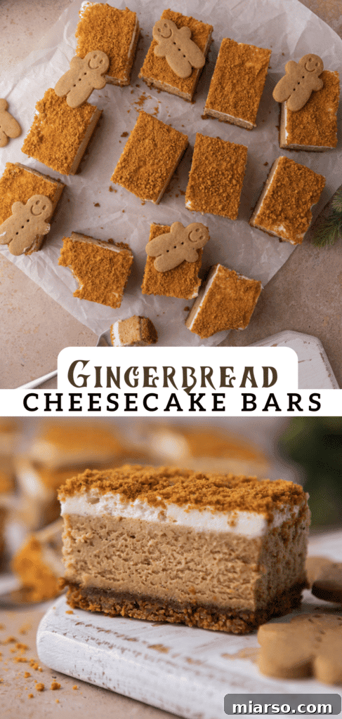 A beautifully presented gingerbread cheesecake bar, ready for pinning.