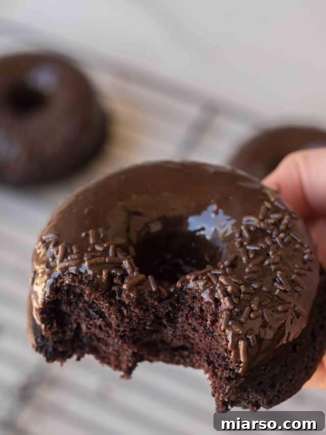 Baked Chocolate Valentine's Day Donuts with pink sprinkles