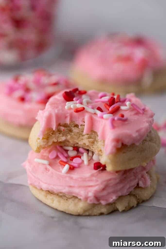 Ultimate Valentine Frosted Sugar Cookies 2 Beautifully decorated Valentine's Day Frosted Sugar Cookies with pink frosting and sprinkles