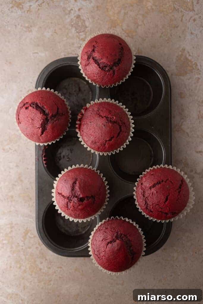 Fully baked cupcake bases removed from the muffin pan and cooling on a wire rack.