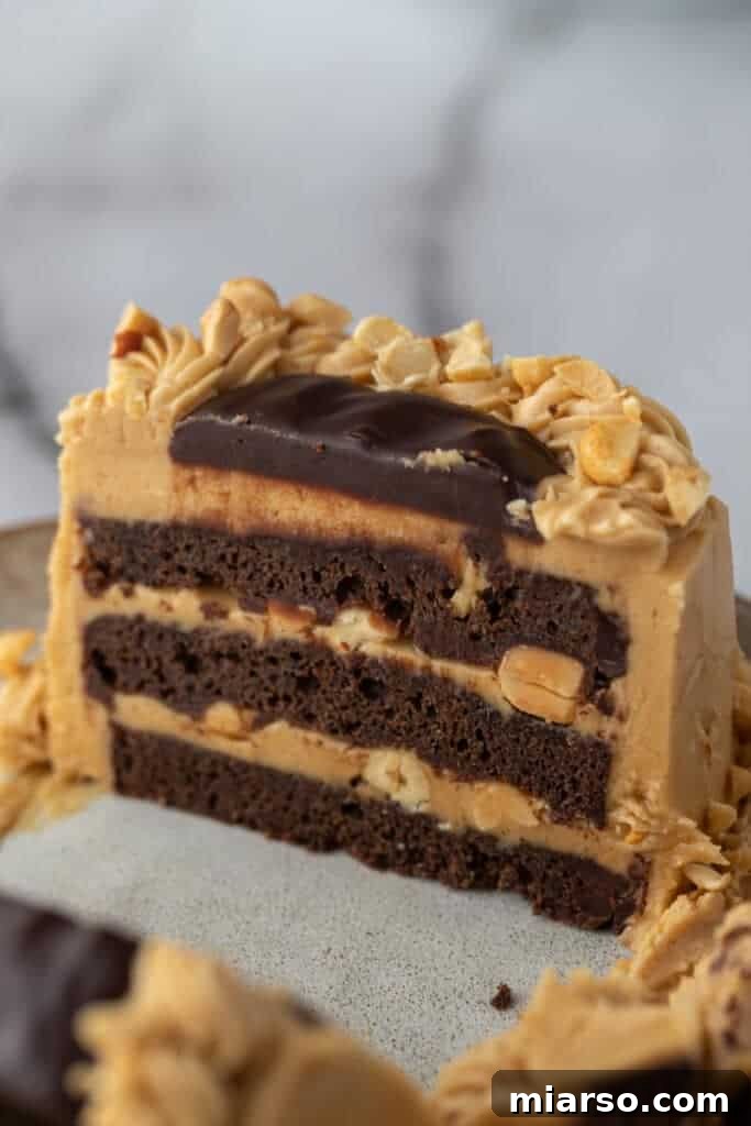 how to make peanut butter frosting and put it in a chocolate cake