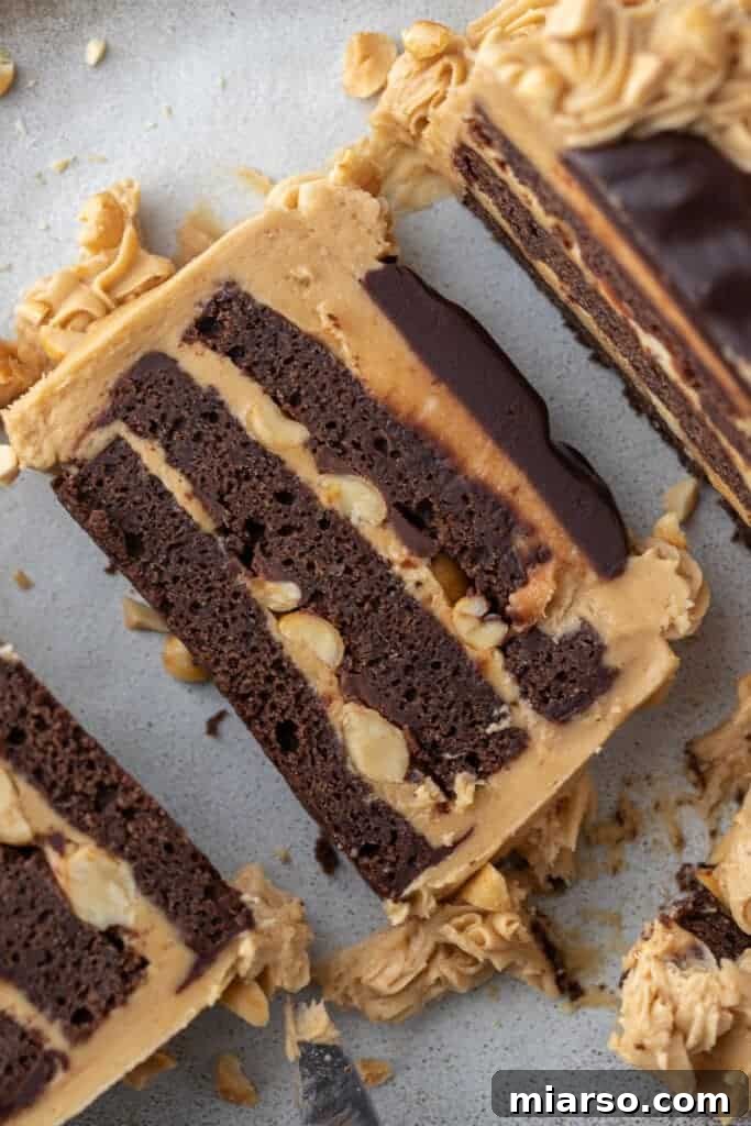 slice of chocolate cake with icing