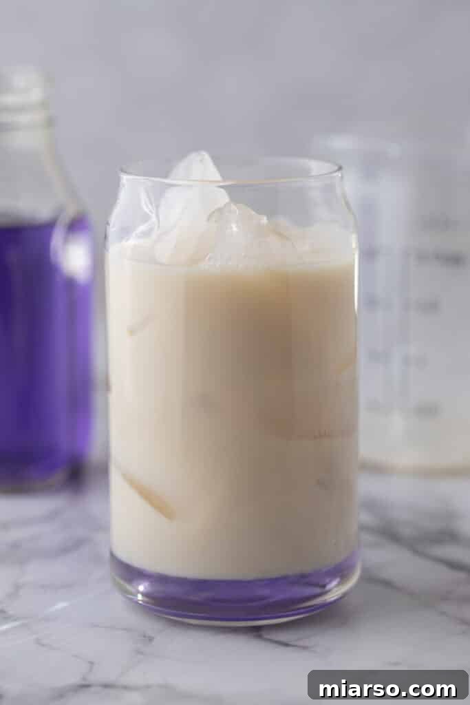 Homemade Starbucks Iced Lavender Oatmilk Latte 4 Ingredients in a cup